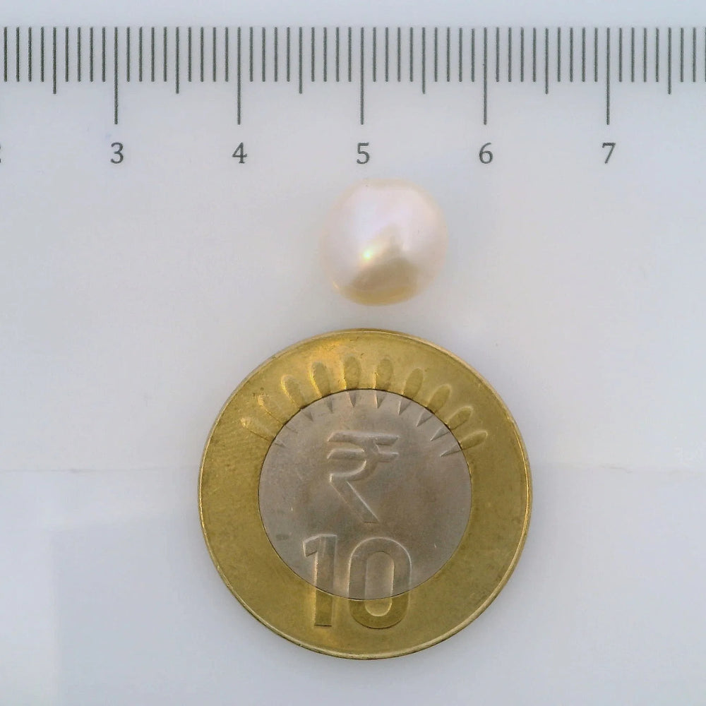 ITLGR_107020_SCALE.webp