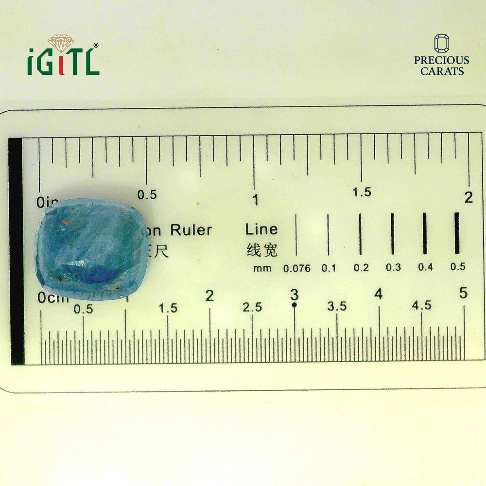 IGITL_194682_SCALE.webp