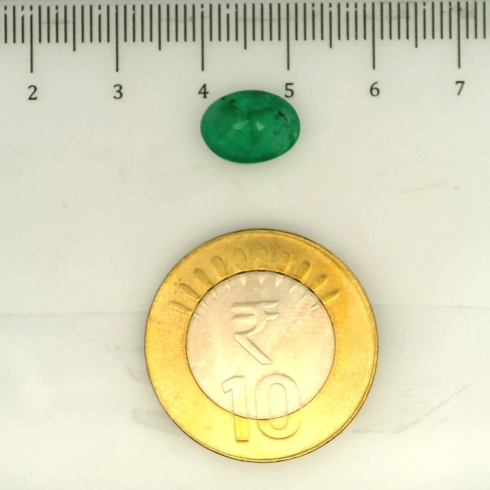 IGITL_203372_SCALE.webp