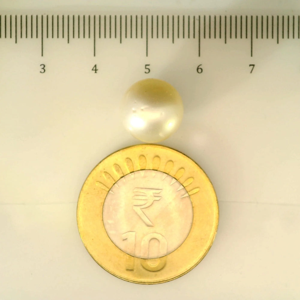 ITLGR_106927_SCALE.webp