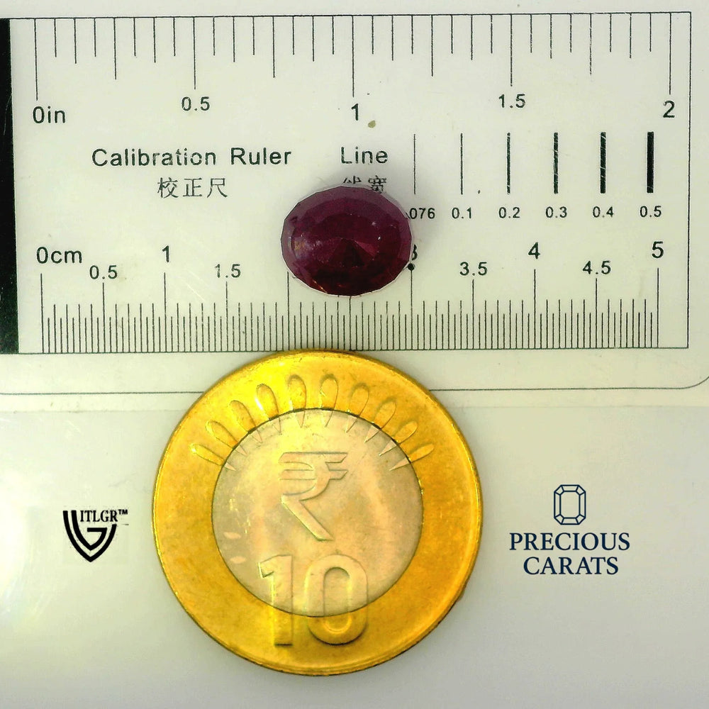ITLGR_100286_SCALE.webp