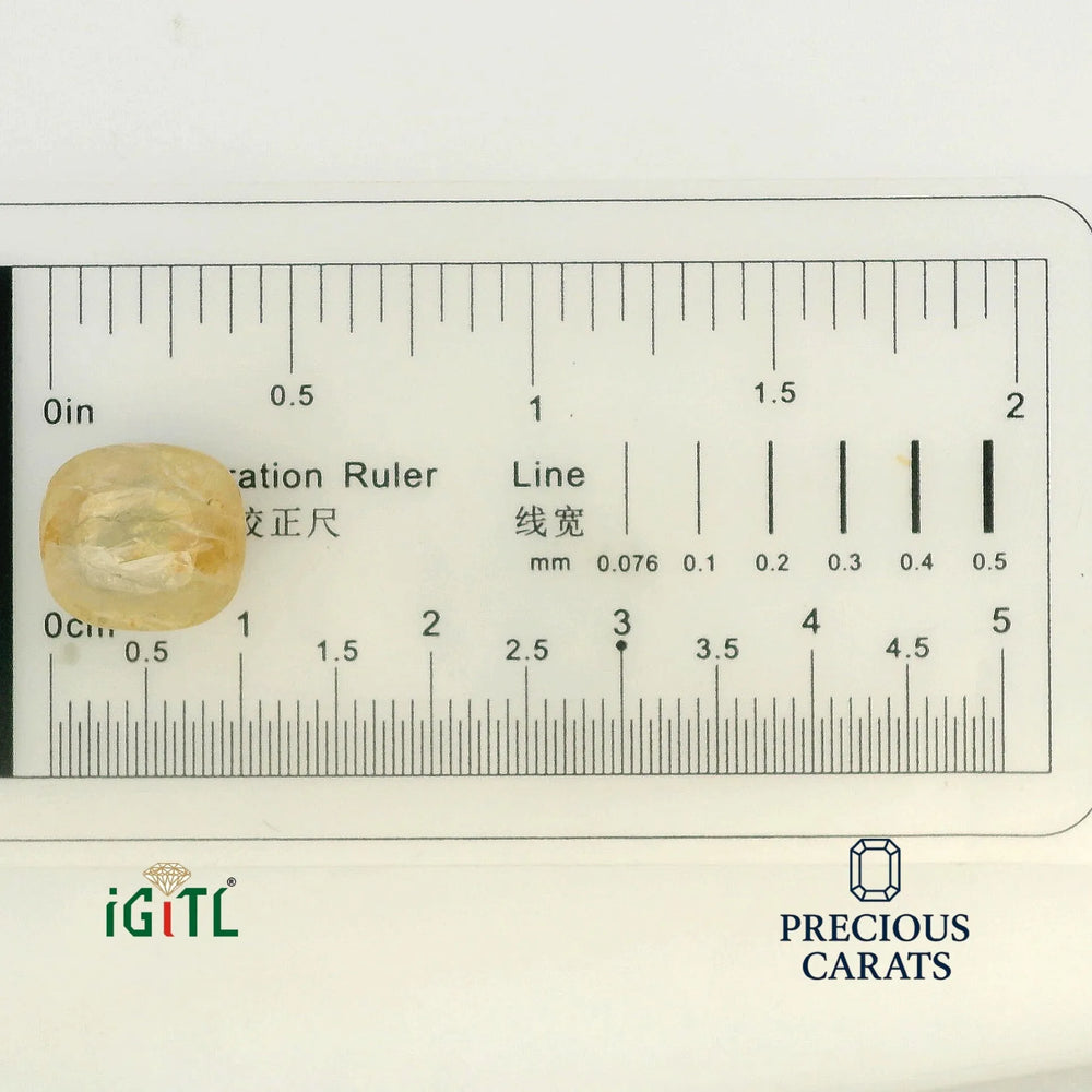IGITL_194712_SCALE.webp