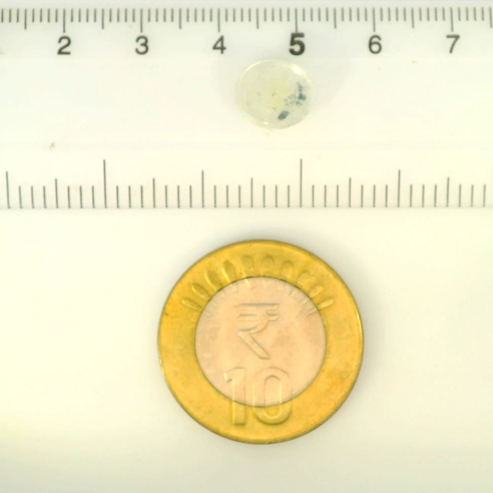 IGITL_212005_SCALE.webp