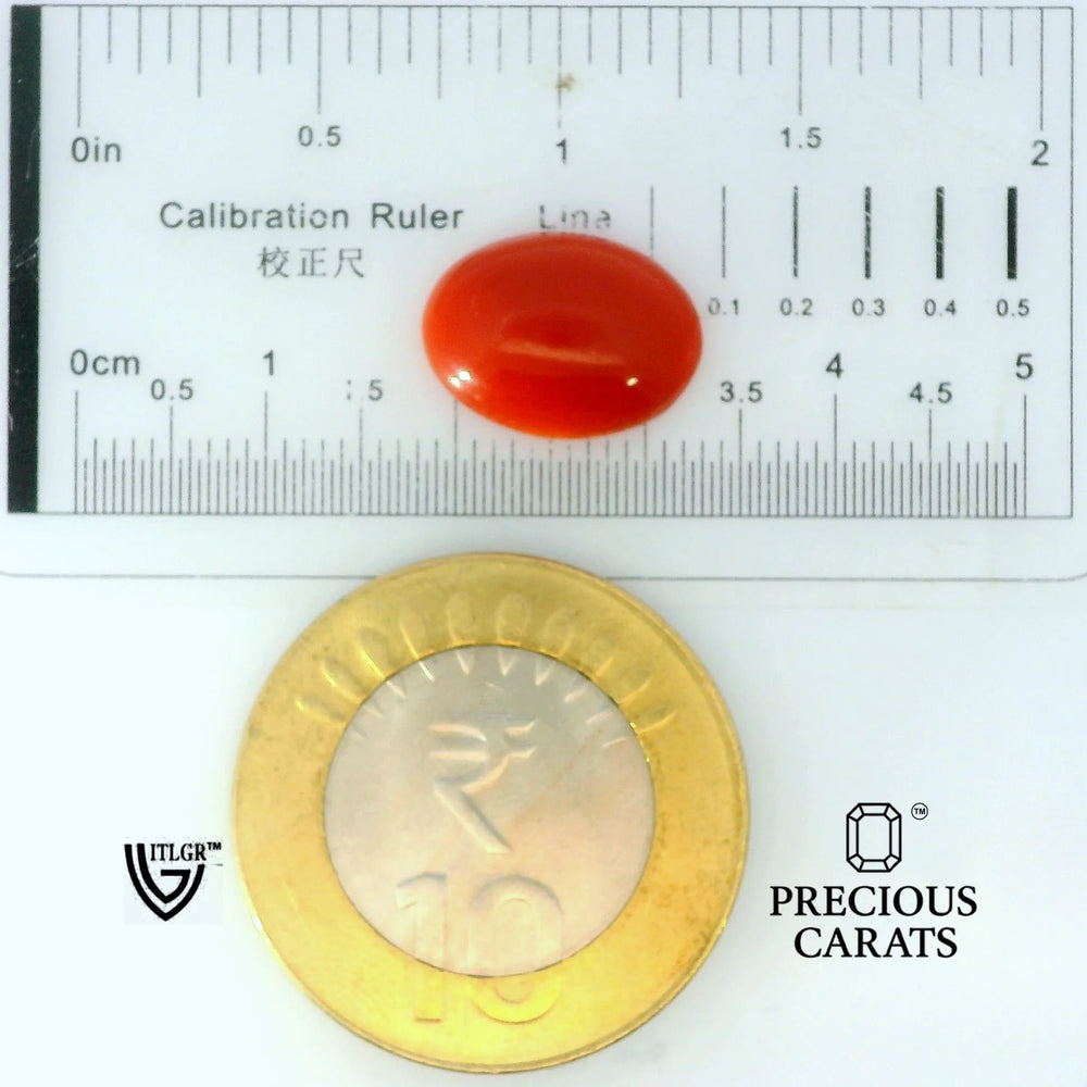 ITLGR_105279_SCALE.webp