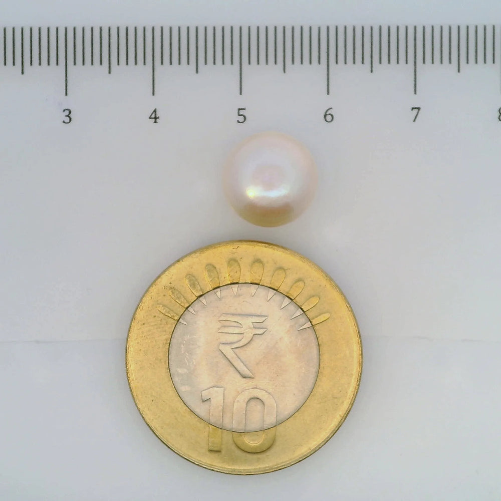 ITLGR_107023_SCALE.webp