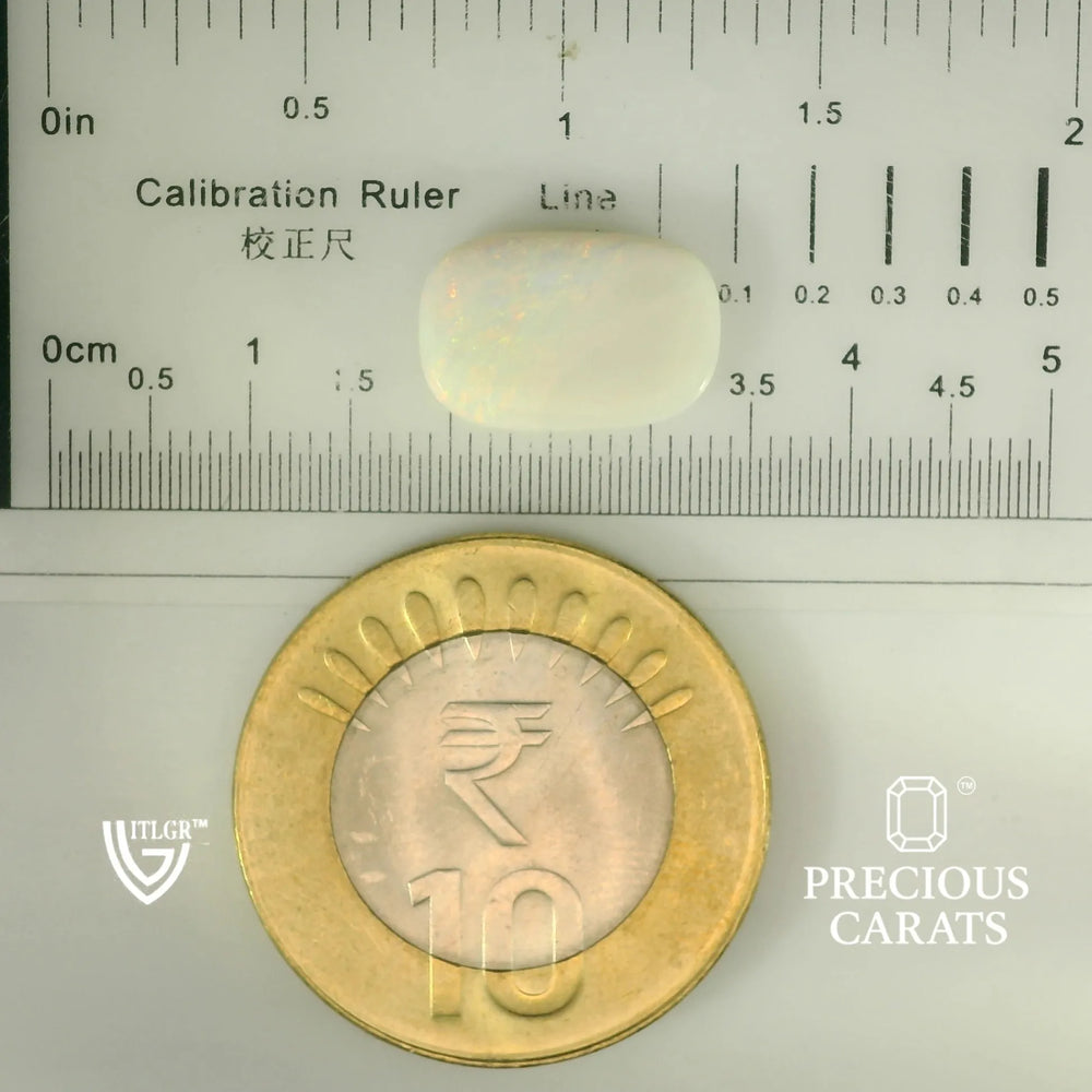 ITLGR_101879_SCALE.webp