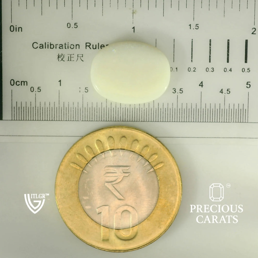 ITLGR_101868_SCALE.webp