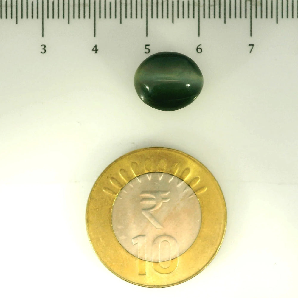 ITLGR_107057_SCALE.webp