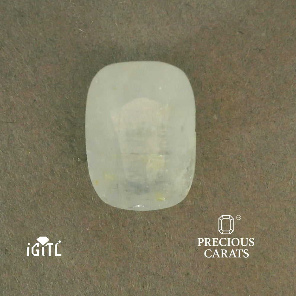 IGITL_201527_TOP.webp