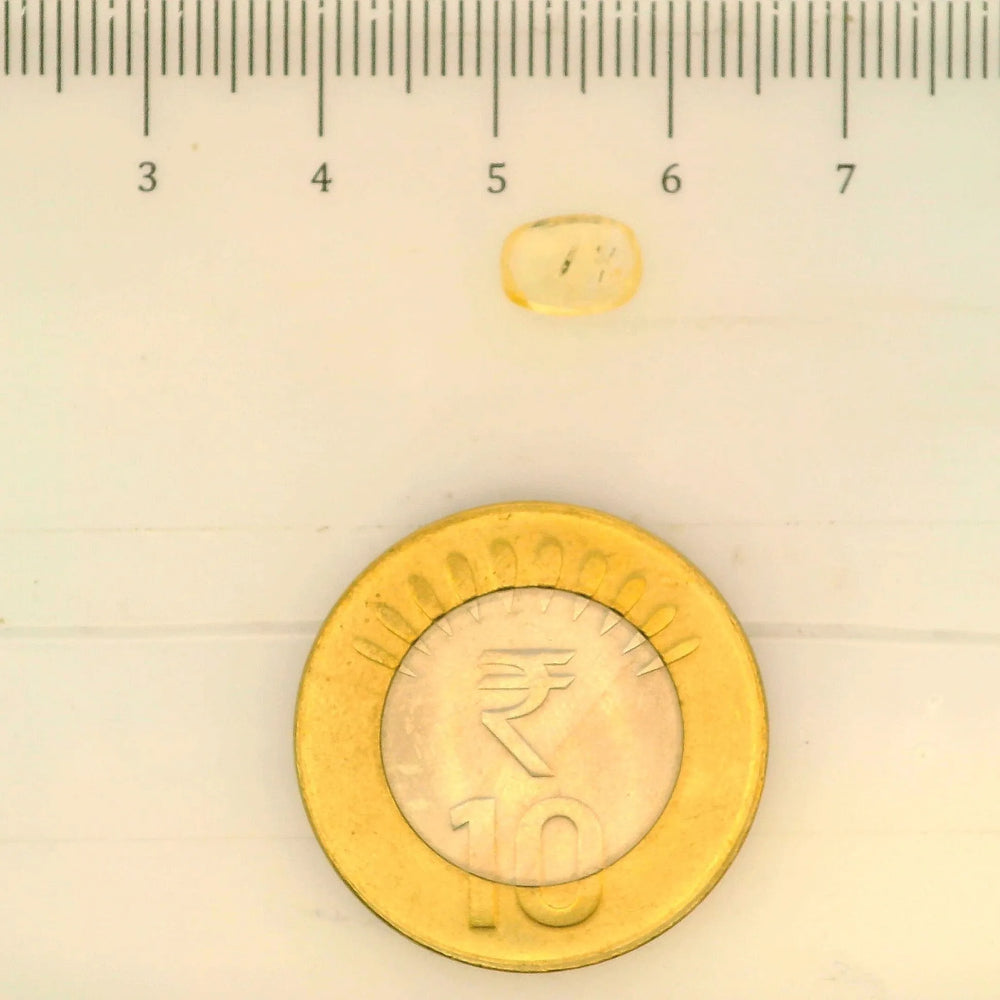 ITLGR_104982_SCALE.webp