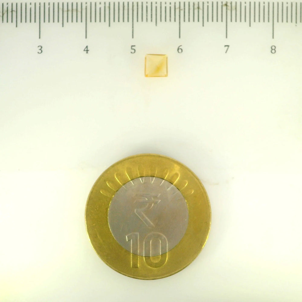ITLGR_113306_SCALE.webp