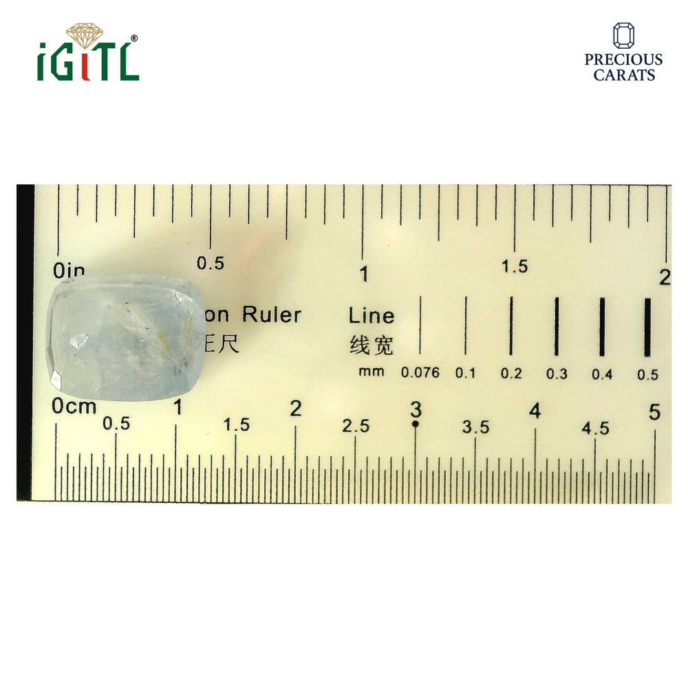 IGITL_194694_SCALE.webp