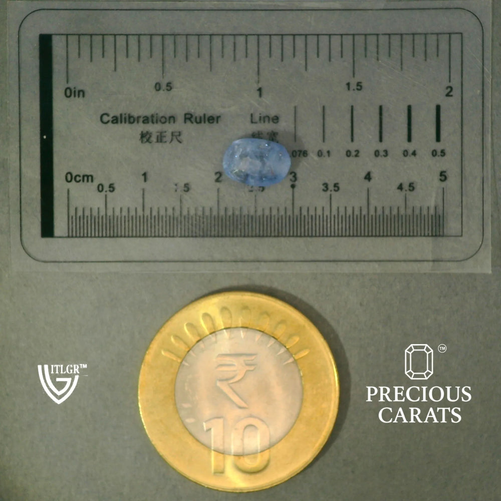 ITLGR_100477_SCALE.webp