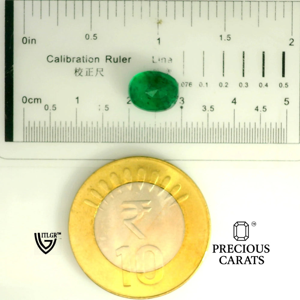 ITLGR_105252_SCALE.webp