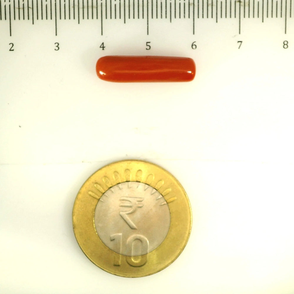 ITLGR_112851_SCALE.webp