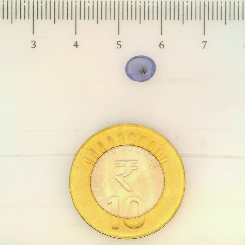 ITLGR_105019_SCALE.webp