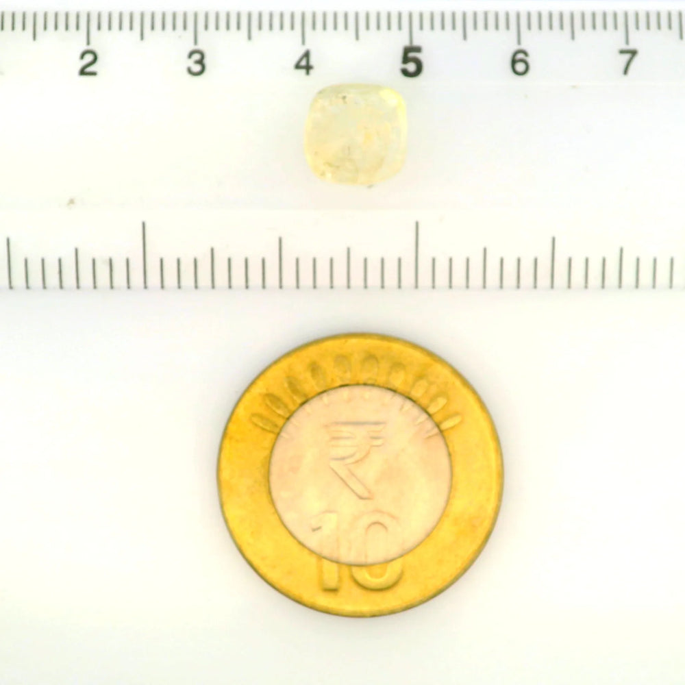 IGITL_211753_SCALE.webp
