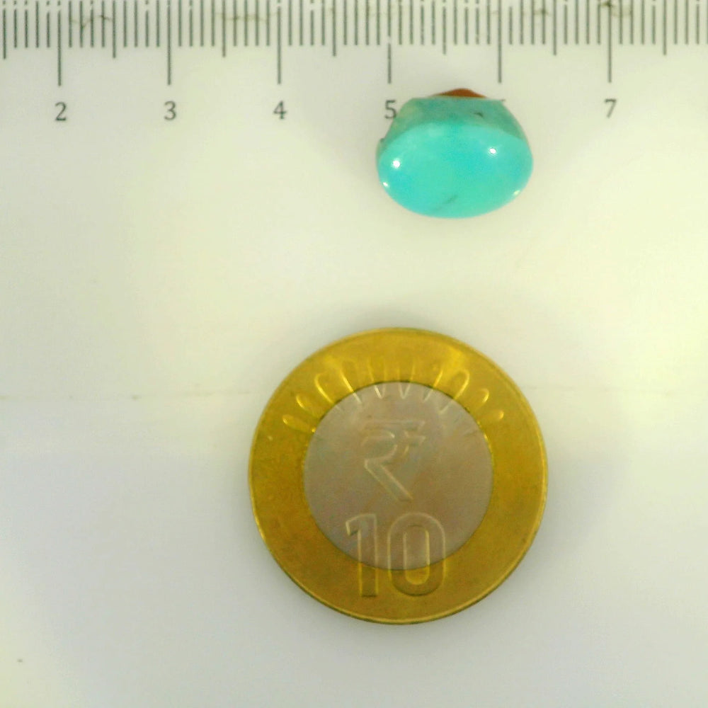 ITLGR_107263_SCALE.webp