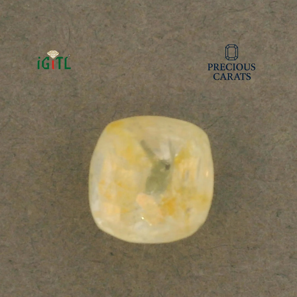 IGITL_200261_TOP.webp