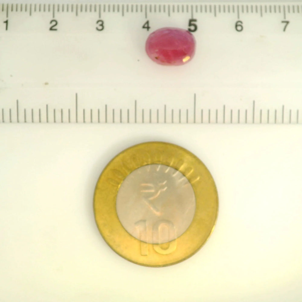 ITLGR_109884_SCALE.webp