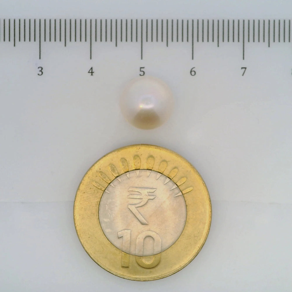 ITLGR_107038_SCALE.webp