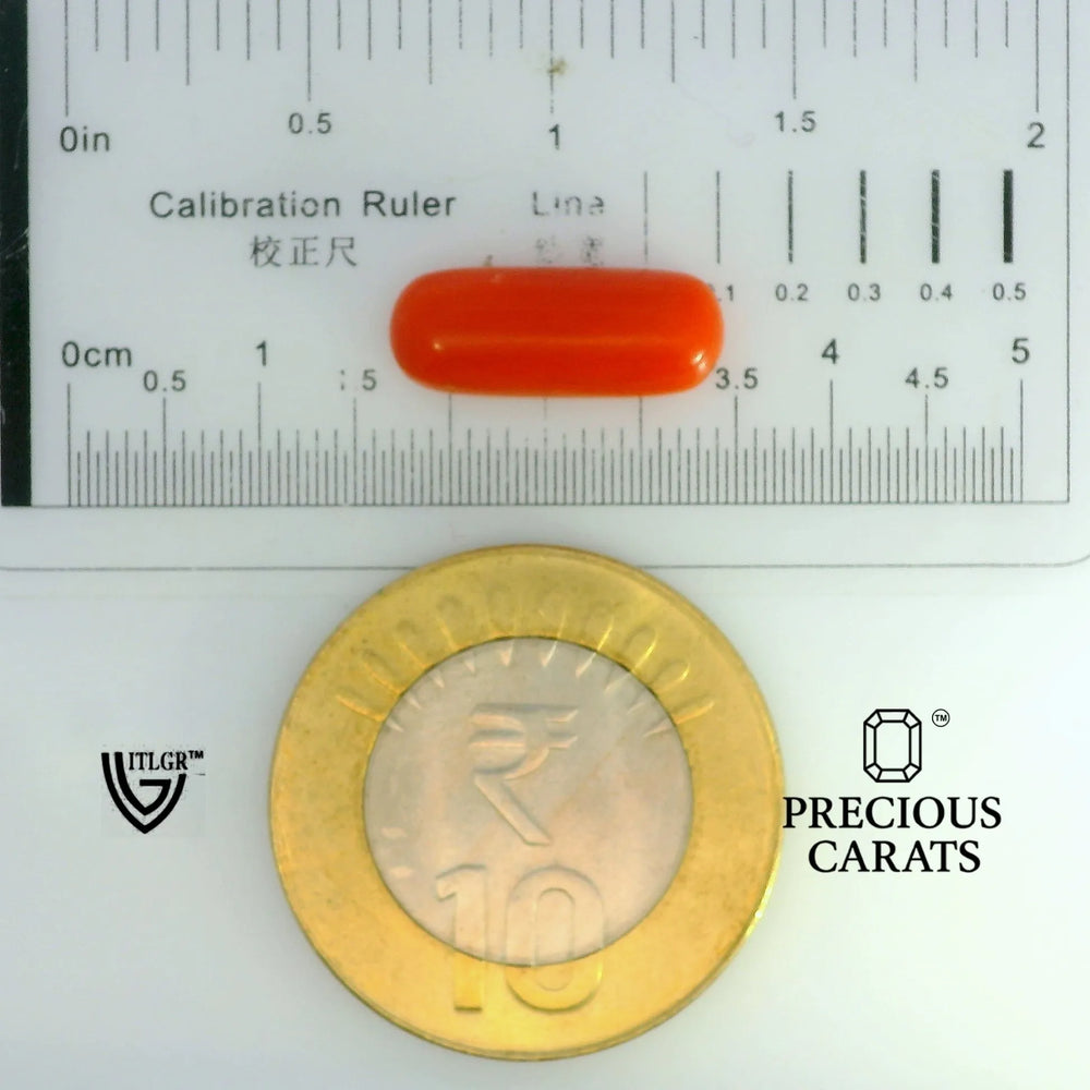 ITLGR_104510_SCALE.webp