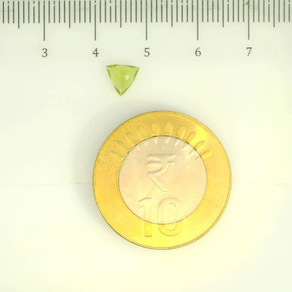 ITLGR_109398_SCALE.webp
