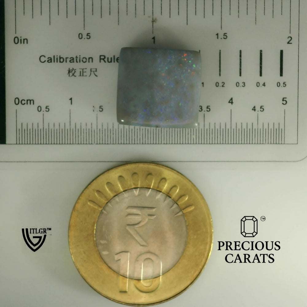 ITLGR_101957_SCALE.webp