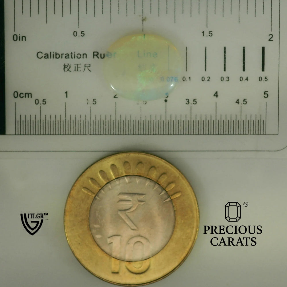 ITLGR_101974_SCALE.webp