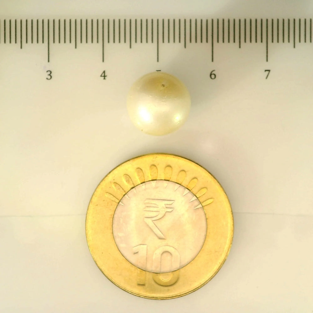 ITLGR_106915_SCALE.webp