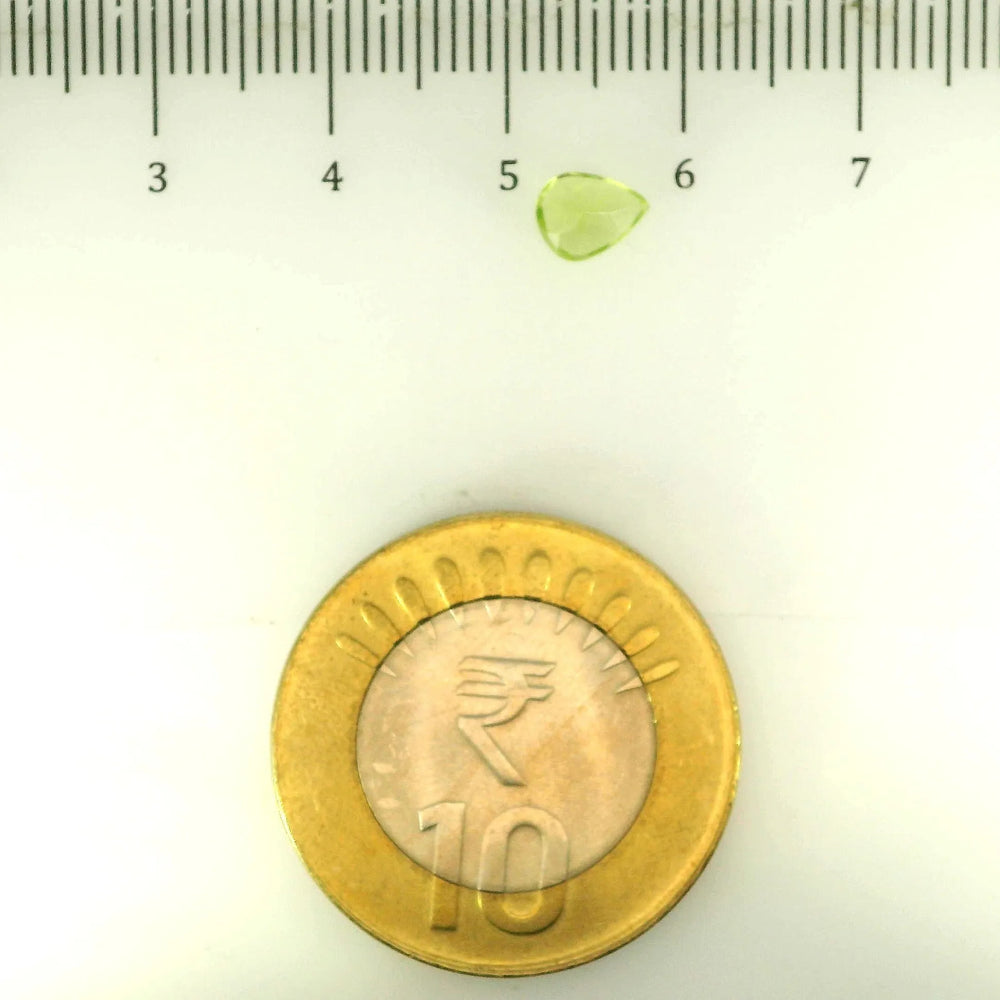 ITLGR_109374_SCALE.webp