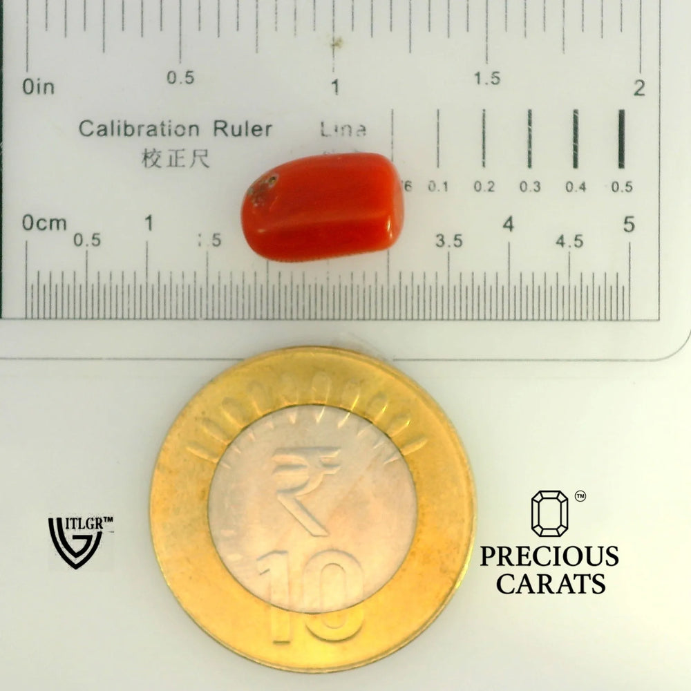 ITLGR_104539_SCALE.webp