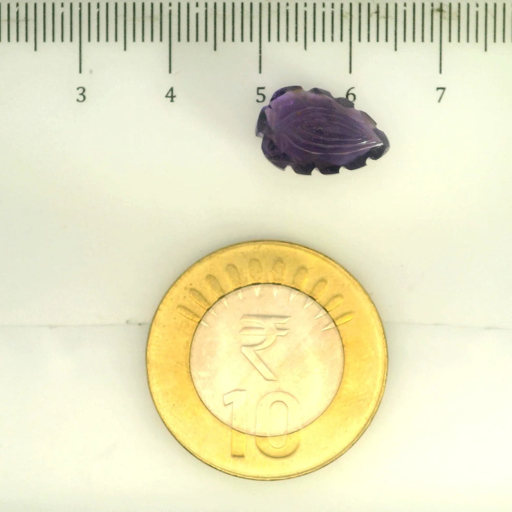ITLGR_109459_SCALE.webp