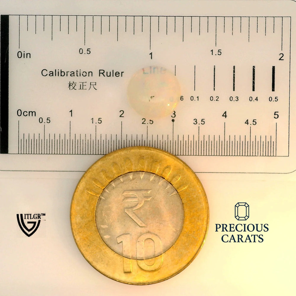 ITLGR_100569_SCALE.webp
