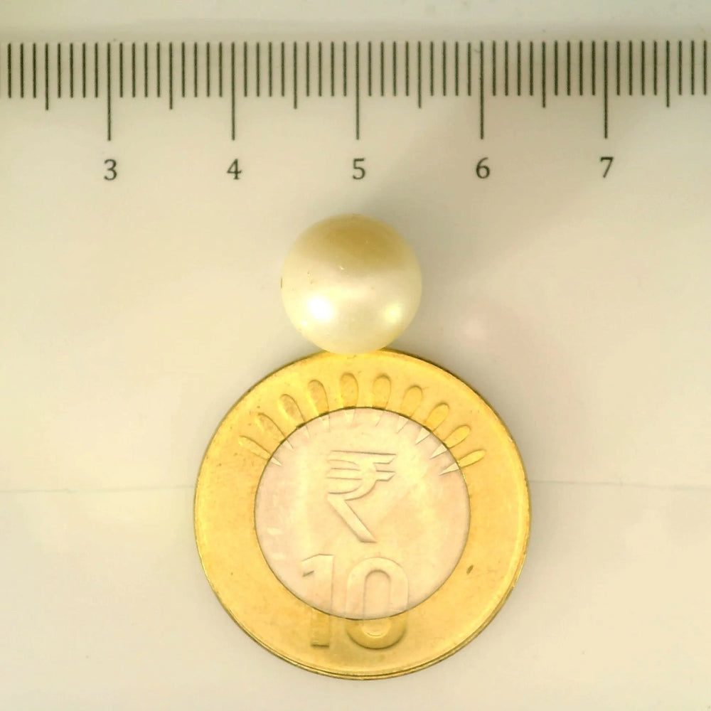 ITLGR_106909_SCALE.webp