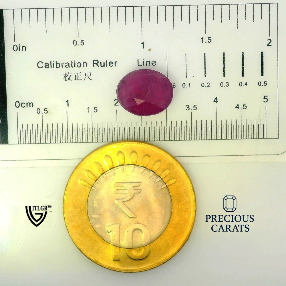 ITLGR_100279_SCALE.webp