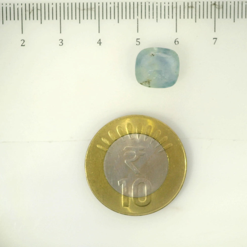 IGITL_205598_SCALE.webp