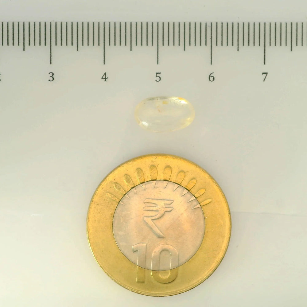 IGITL_200273_SCALE.webp