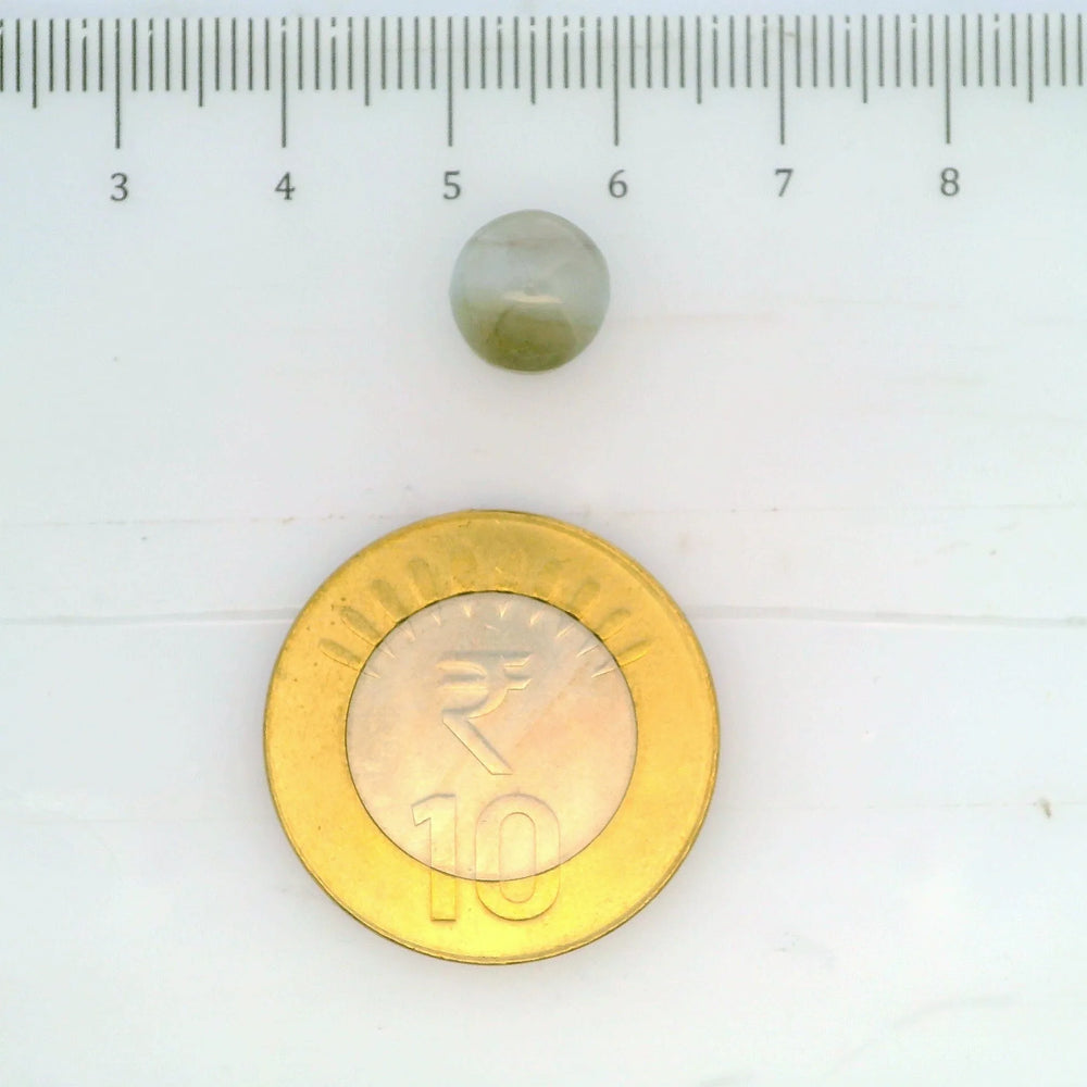 ITLGR_109815_SCALE.webp