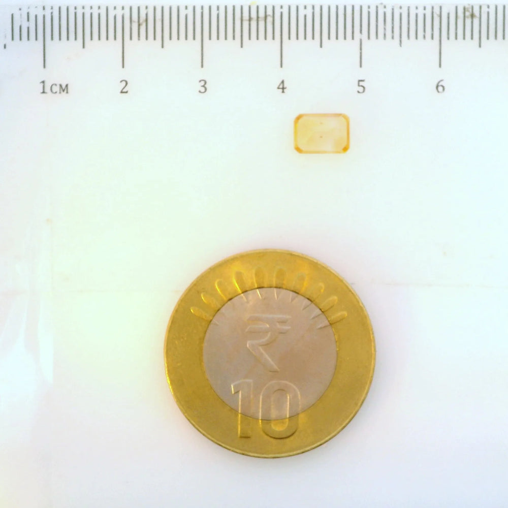 ITLGR_113333_SCALE.webp
