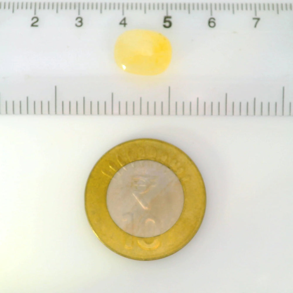 ITLGR_121108_SCALE.webp