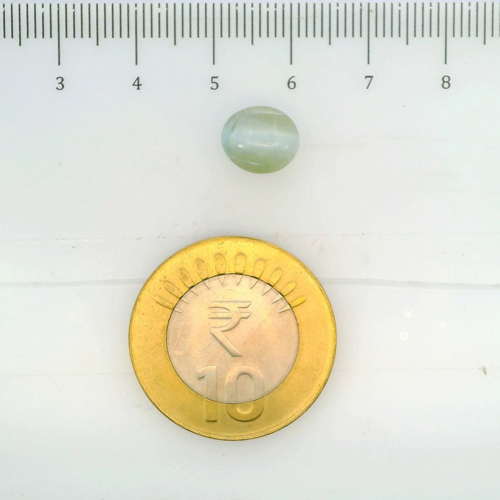 ITLGR_109777_SCALE.webp