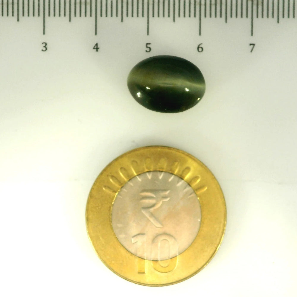 ITLGR_107073_SCALE.webp