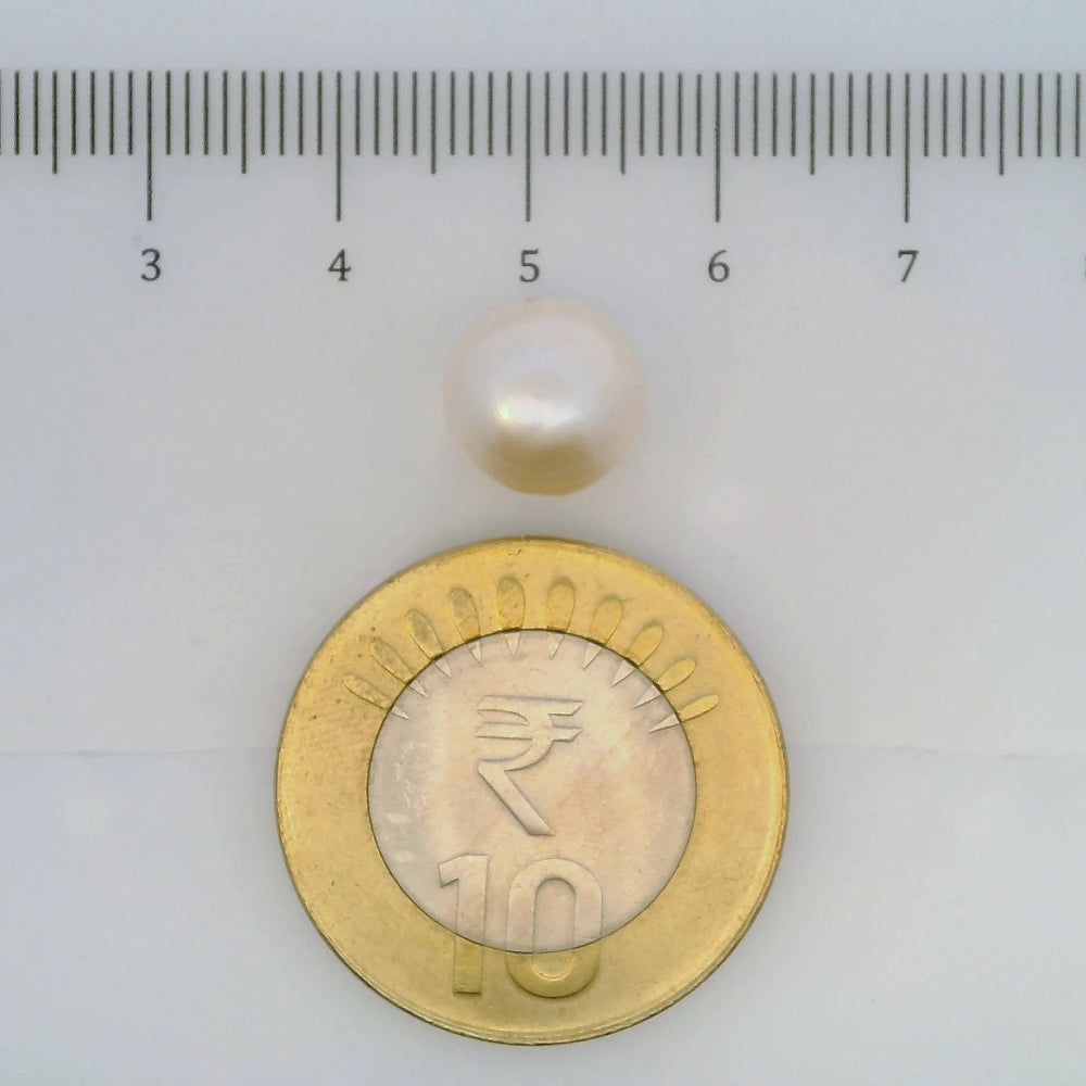 ITLGR_106969_SCALE.webp