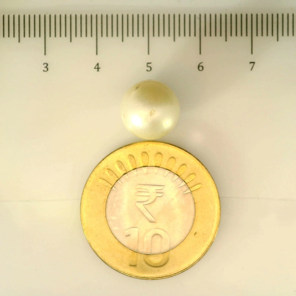 ITLGR_106902_SCALE.webp