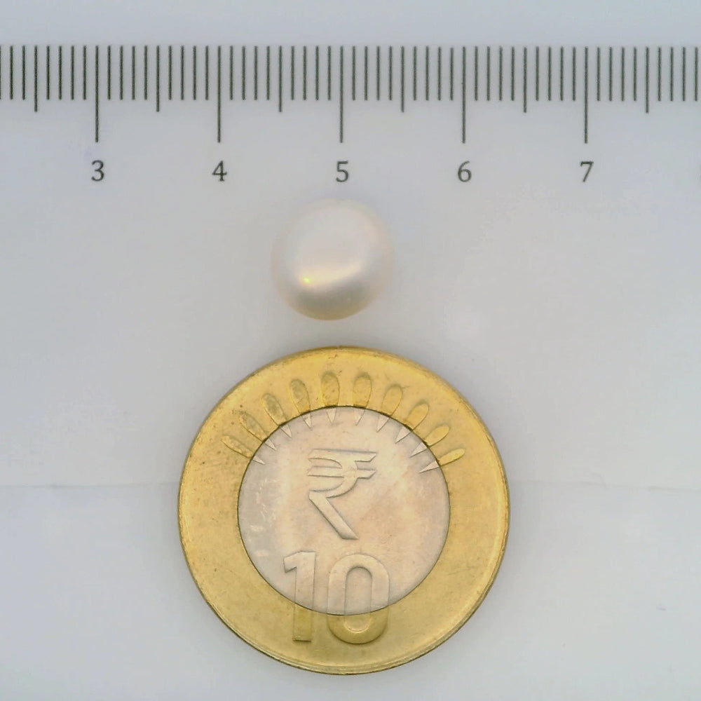 ITLGR_106977_SCALE.webp