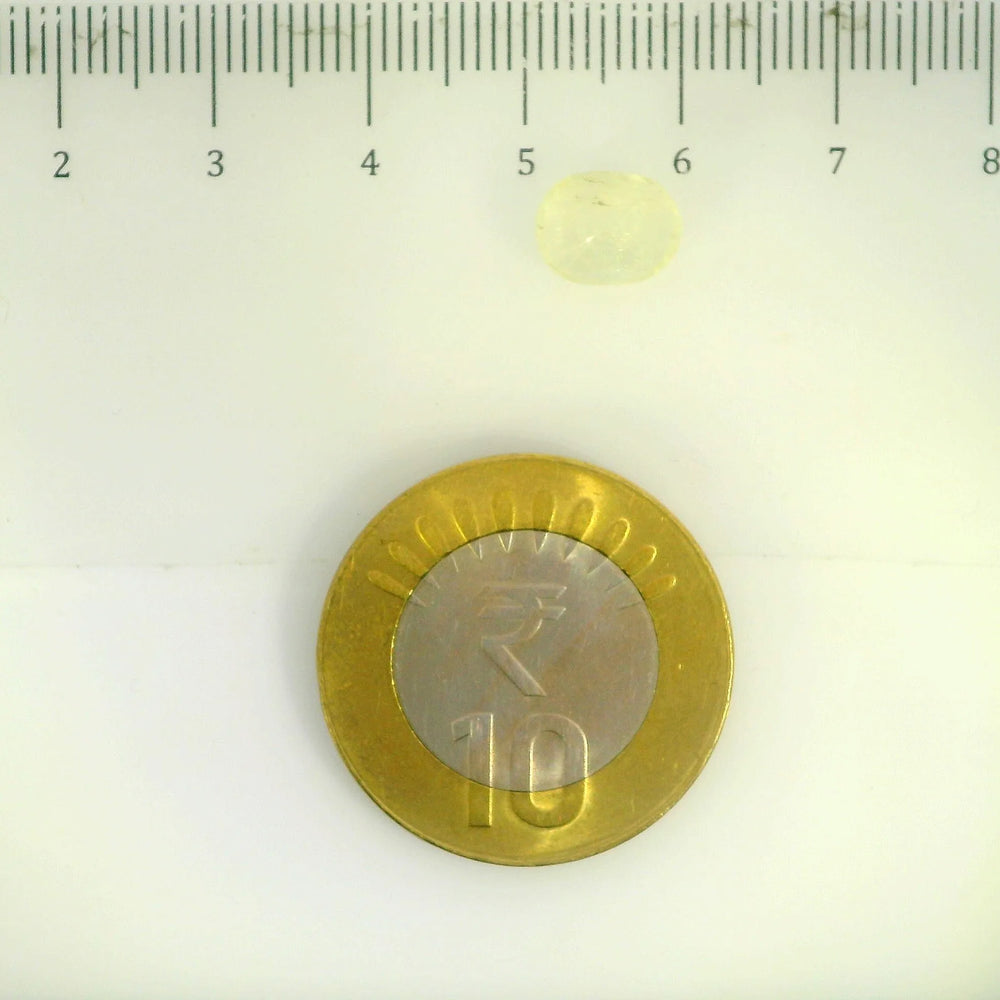 IGITL_200276_SCALE.webp