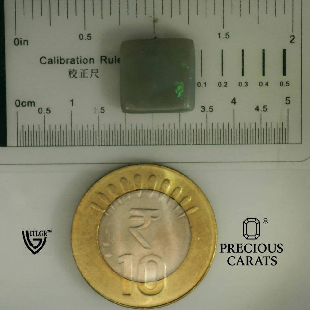 ITLGR_101958_SCALE.webp