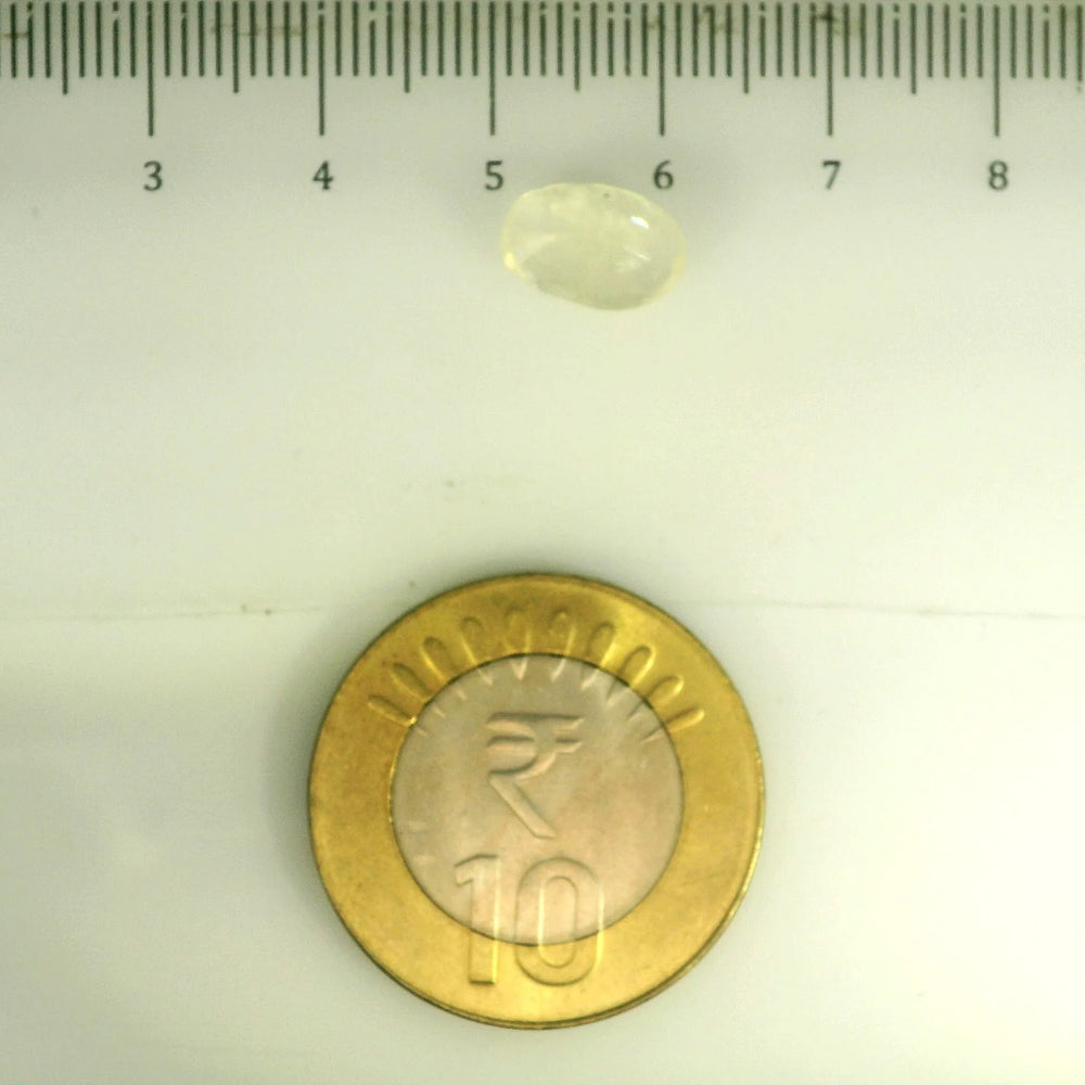 IGITL_200277_SCALE.webp