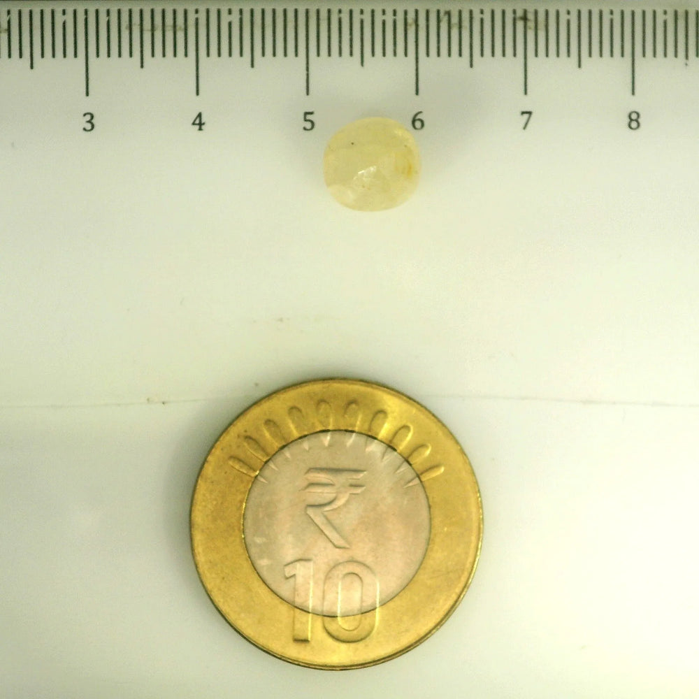 ITLGR_106785_SCALE.webp